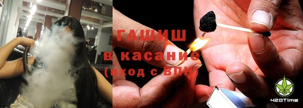 молекула духа Бородино