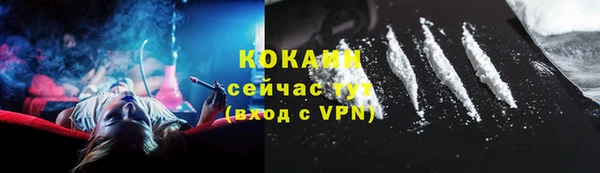 молекула духа Бородино