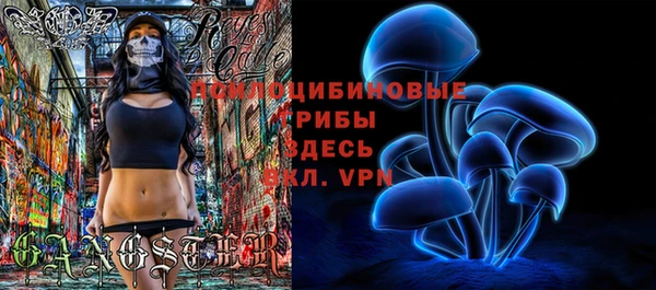 молекула духа Бородино