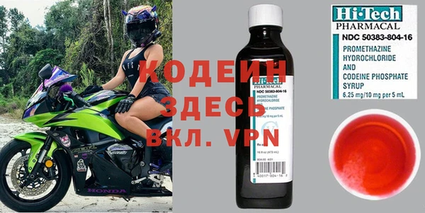 молекула духа Бородино