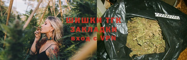 молекула духа Бородино