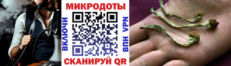 Галлюциногенные грибы Psilocybine cubensis  Демидов 